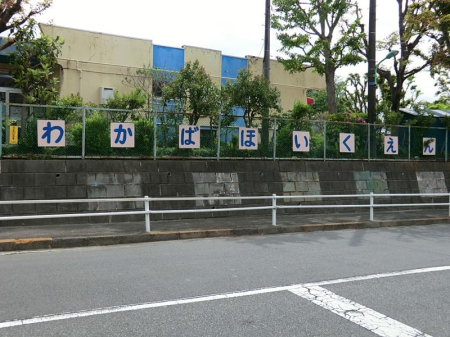 ���ӊ� �c�t���E�ۈ牀 1000m �킩�Εۈ牀