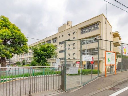 ���ӊ� ���w�Z 1100m ���l�s���R�����w�Z