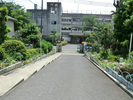 ���ӊ� ���w�Z 500m ����s���掵���w�Z